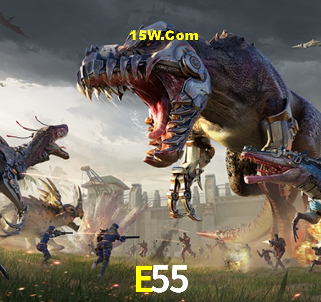 Estatísticas E55