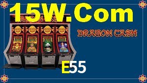 Bonus Features E55
