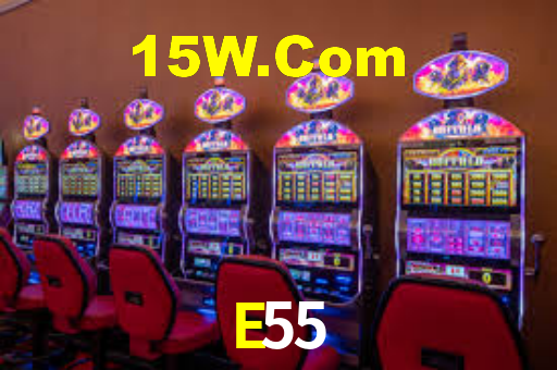 Programa VIP E55